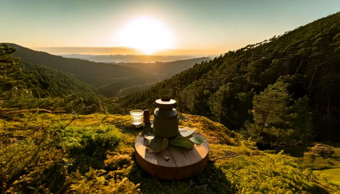 Firefly Discover the profound impact of combining mindfulness practices with outdoor adventures to e (1)